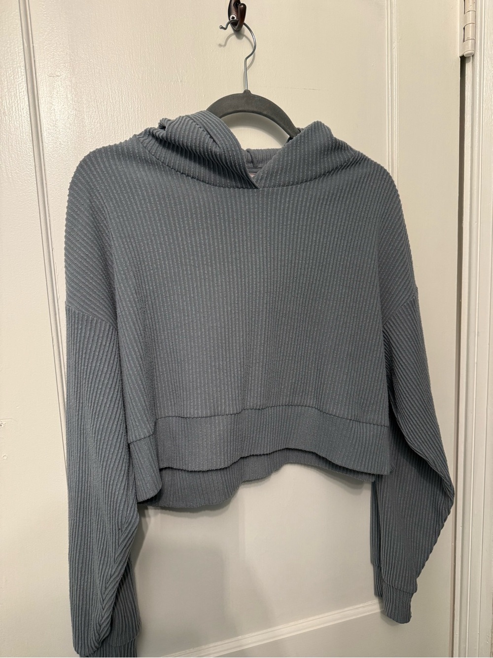 ALO Yoga Ribbed Cropped Hoodie -